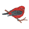 CARDINAL