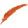 FEATHER