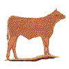 BULL SILHOUETTE