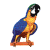PARROT