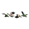 FOUR GEESE