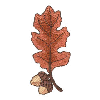 LEAF WITH ACORN