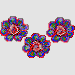 INDIAN FLOWERS