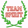 TEAM SPIRIT LAUREL WREATH