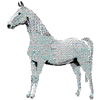 SADDLE BRED
