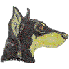 DOBERMAN PINSCHER