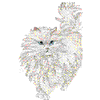 ANGORA