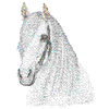 SPANISH ANDALUSIAN