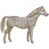 ARABIAN