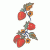 BERRIES