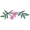 FLORAL BORDER