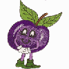 PLUM MAN