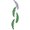 LEAF BORDER