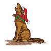 CHRISTMAS COYOTE