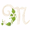 VINE M