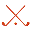 FIELD HOCKEY STICKS