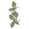 HOLLY LEAVES