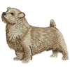 NORFOLK TERRIER