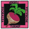 TURNIP