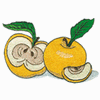 APPLES