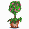 TOPIARY
