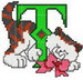 cat-T