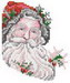 699santaface11ct