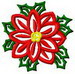Pointsettia