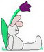 Pocket_bunny