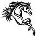 Arabian Horse