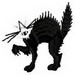 Scarcat