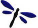Dragonflym