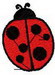 Ladybug 2