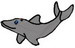 Dolphinlarge