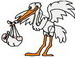 Cg-Stork