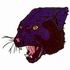 Panther