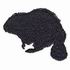 Beaver