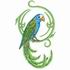 Pionus