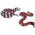 Snakes