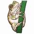 Gray Tree Frog
