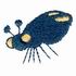Stink Bug
