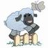 Jumping Lamb