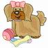 Toy Dog