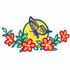 Butterfly Border