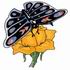 Rose & Butterfly