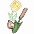 Planting Bulbs