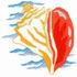 Seashell