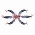 Native American Feather Design