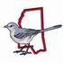Mockingbird - Mississippi
