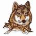 Running Wolf